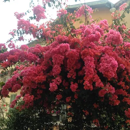 La Malouine Ницца